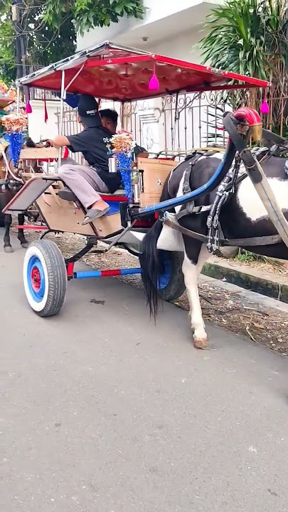 horse-drawn carriages lined up #shorts