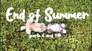 End of Summer parts 6 and 10 | For newtonkinz