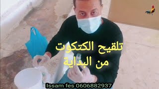 تلقيحكتكوتالدجاج خليط السلالات الفيومي من البداية رقم الهاتف 0606882937