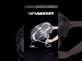Asahi Floor Fan 2025: Beat the Heat with the PF 620! #shorts