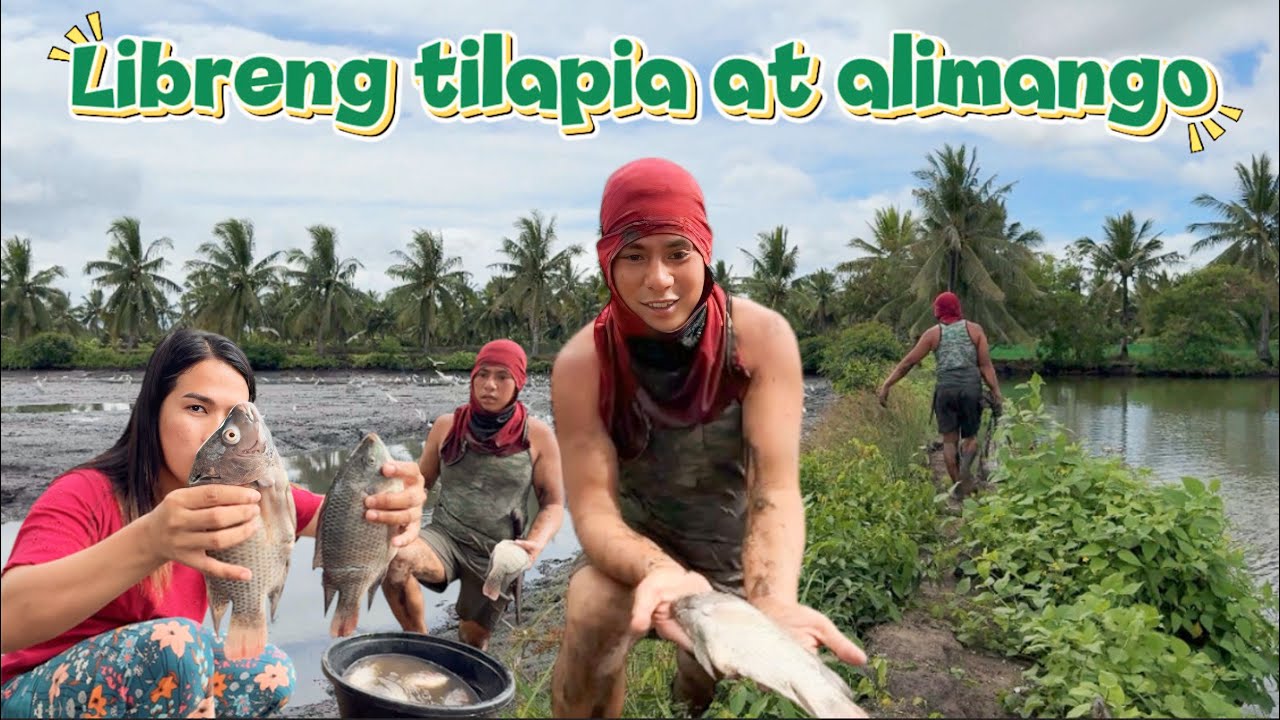 LIBRENG ALIMANGO AT TILAPIA SA KAPIT BAHAY