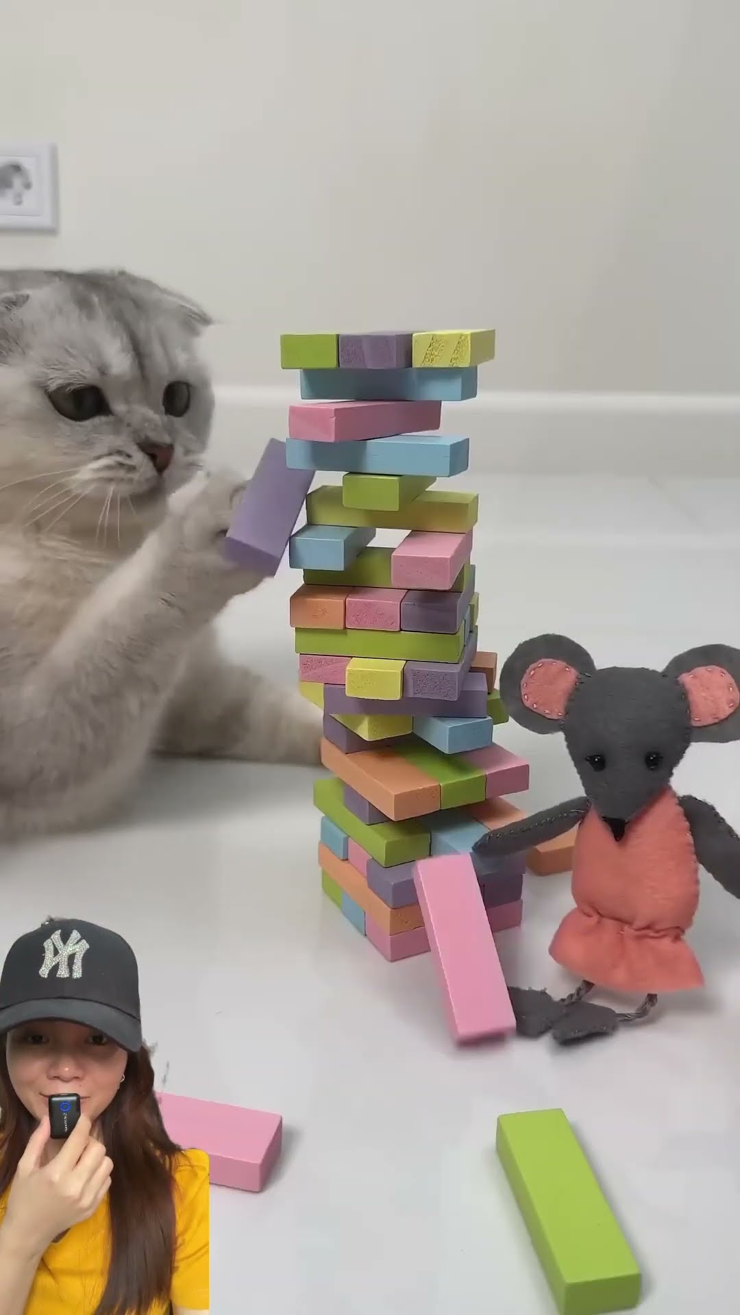 Miaw kena tipu tikus ⁉️