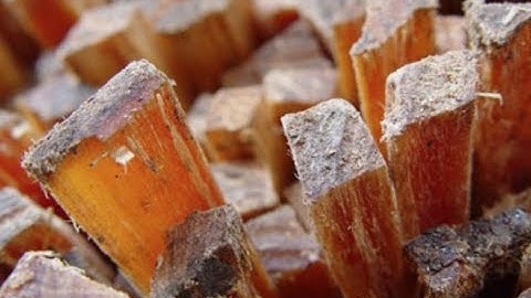 Fatwood for Beginners