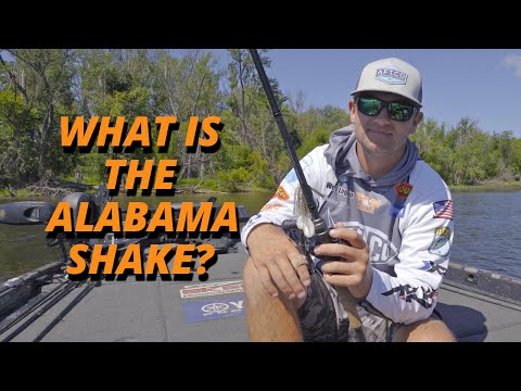 The Alabama Shake Swim Jig Fishing with Wes Logan
