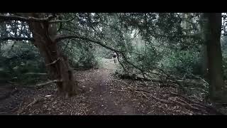 New Technical Trail - Cawston Woods -