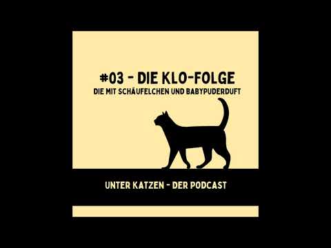 Video: Kacken, Töpfchen oder Katzentoilette Trainieren Sie Ihre Meerschweinchen