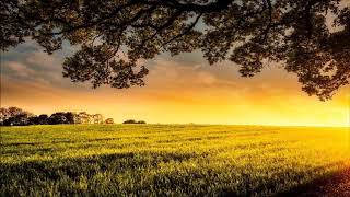 Soft music for relaxation short,short relaxing,short relax,short music relaxing