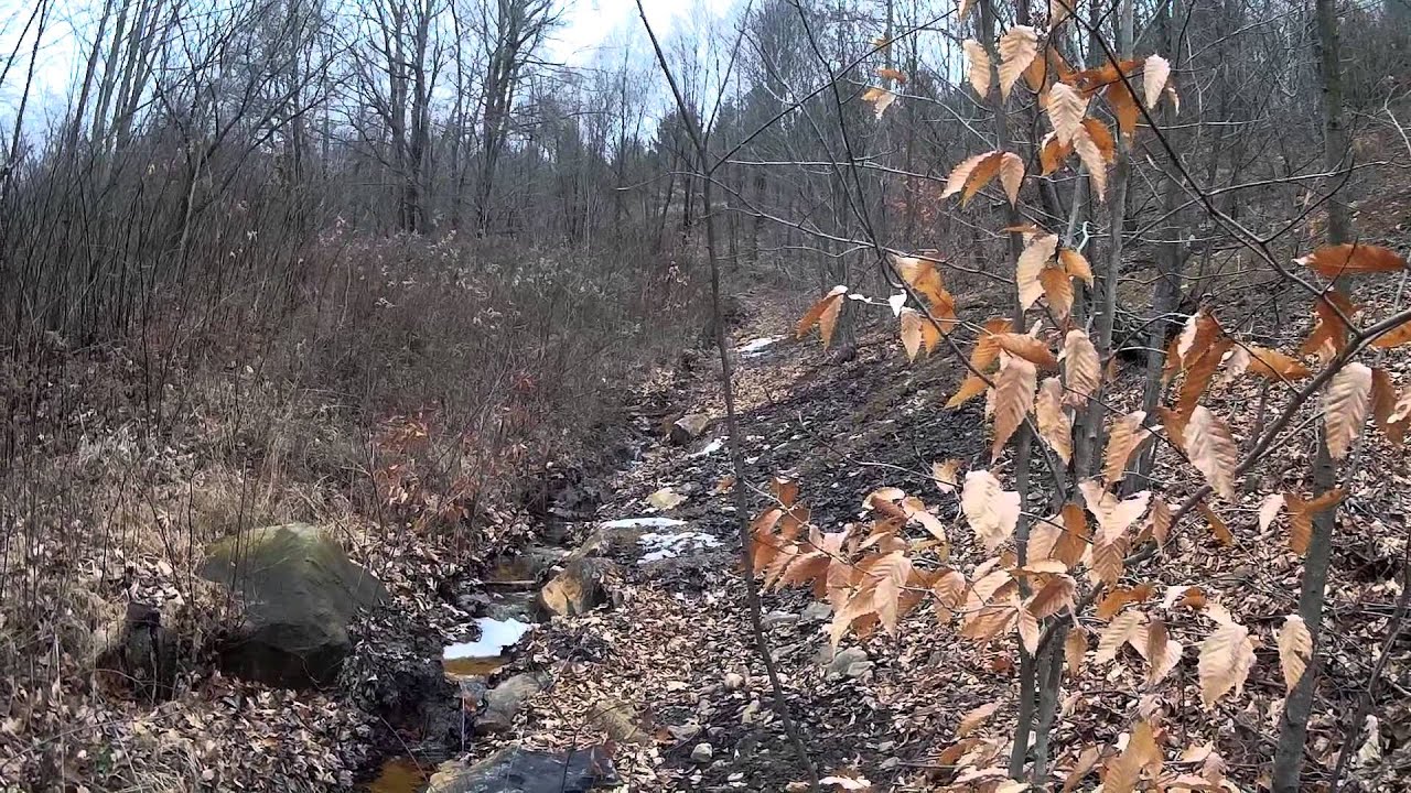 Last Day Of Pa Flintlock Muzzleloader Season, 2015/2016 January 9th