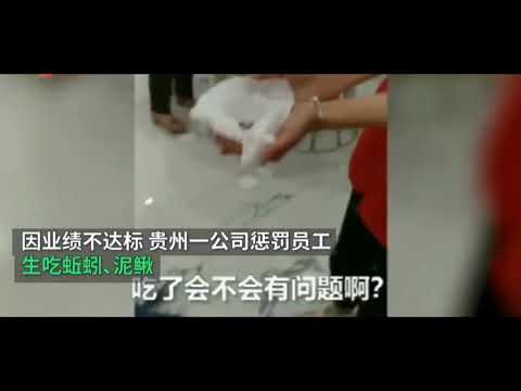 中国贵州毕节员工犯错被罚生吃蚯蚓和泥鳅！