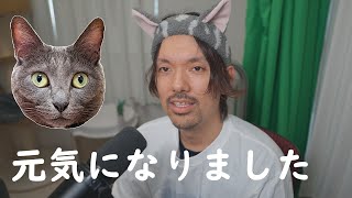 ストレスで膀胱炎になってた猫が元気になった単純な理由