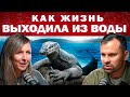 Как рыбы стали людьми Как жизнь выходила на сушу Эволюция Земля Выход на сушу Как рыбы стали людьми Как жизнь выходила на сушу Эволюция Земля Выход на сушу