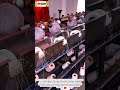 How Giant Exercise Balls Are Made in Modern Factories | Satisfying Manufacturing Process