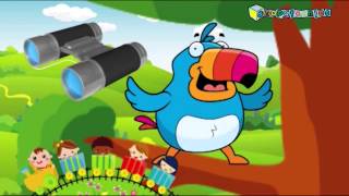 Snapatoonies Episode 6 Birdwatching With Timmy Toucan Uscananda Clip