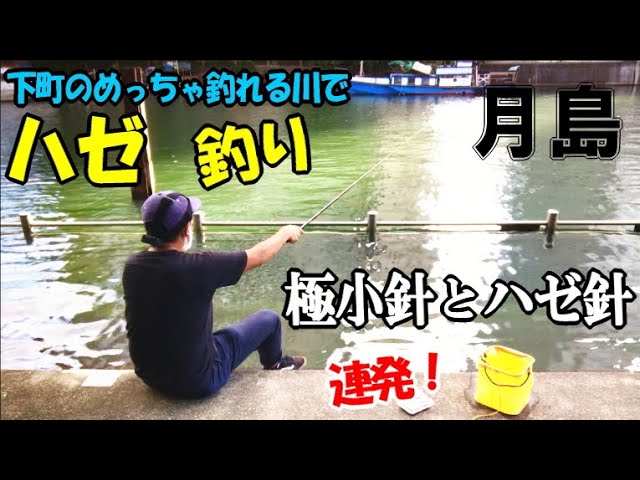 都内の有名ハゼ釣りスポットもんじゃ焼きの町 月島 でハゼ釣りをしたら連発 極小針とハゼ針はどっちが釣れるのか 月島川 食べます Youtube