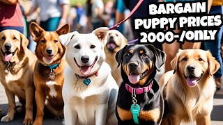 Cheapest Dog Market 2024 |Upcoming Dogs Price list #Dog #petlover