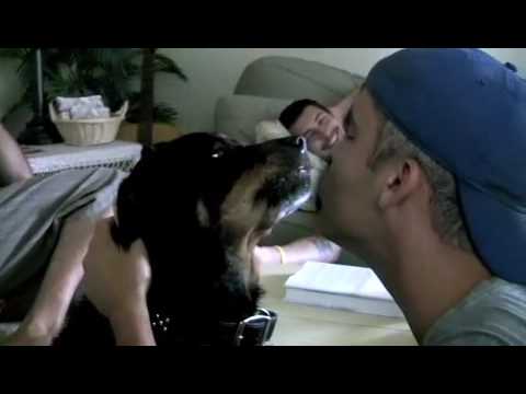 Bark worse than bite