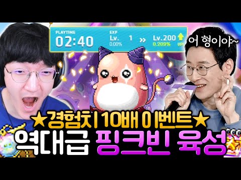 안 하면 손해보는 <strong>핑크빈</strong> <strong>육성</strong> 공략ㅋㅋ [메이플스토리/명훈]