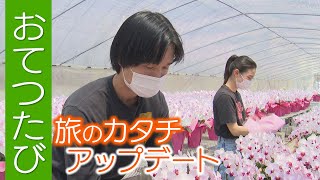 働きながら旅をする「おてつたび」