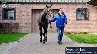 Never Too Late De La Hamente Z