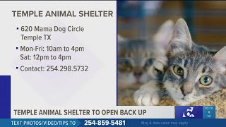 Temple animal shelter to open back up to public