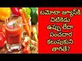 Health Benefits Of Tomato Juice | Health Tips In Telugu | Manandari Health