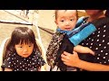 ほーちゃんママ登場! 抱っこひもでママごっこ エルゴで抱っこして欲しがるまーちゃん