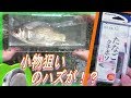 なぜデカくなる！？タナゴ狙いの小物釣り！！