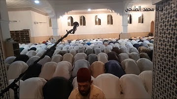 القارئ ابراهيم الهبطي الليلة 12 من رمضان 1437 من مسجد عائشة أم المومنين