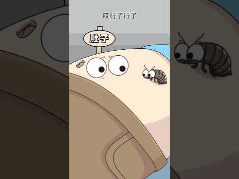 不收拾屋子的后果bedbug