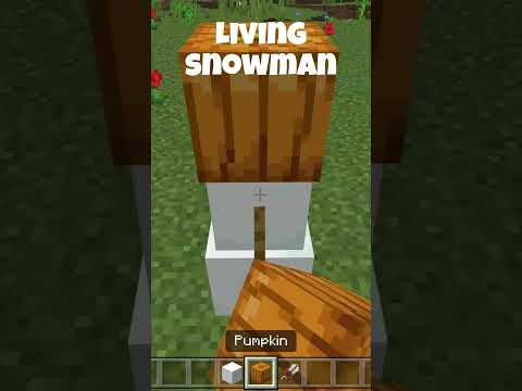 Video: Kun jij een sneeuwpop temmen in minecraft?
