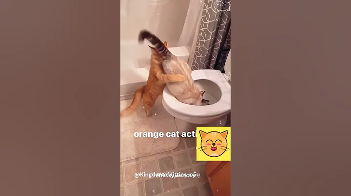 Watch the video about Bathroom kitty #funny #funnycat #foryou #cute #catsoftiktok #fypツ #funnyvideo #cats #kitty #kittycat