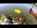 Unexpected GIANT Catch while Bank Fishing!!!