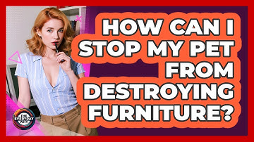 How Can I Stop My Pet From Destroying Furniture? - The Everyday Why