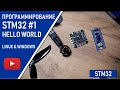 STM32 #1: Программирование STM32 начало | HelloWorld | Linux и Windows #STM32