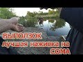 Как насаживать выползка на крючок Выползок это лучшая наживка на СОМА. Catfish.