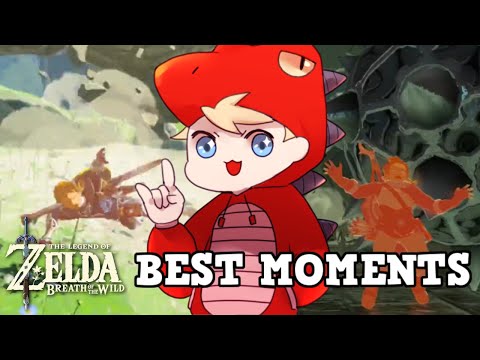 Breath Of The Wild BEST MOMENTS!! (Part 1)