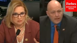 'What In Your Mind Is The Problem Here?': Ashley Hinson Grills ICE Director About Migrant Crime