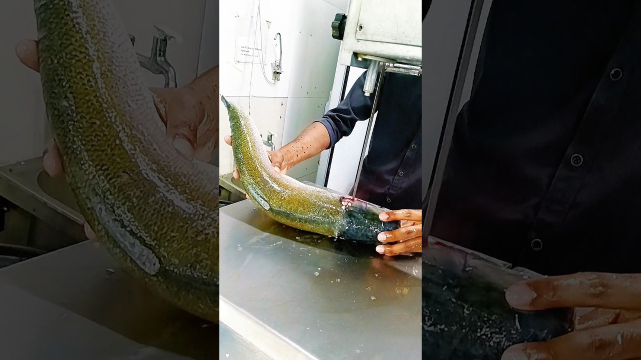 amazing giant selver carp fish cutting amazing skills video 
