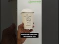 Double Wall Paper Glasses – Premium Insulated Beverage Cups