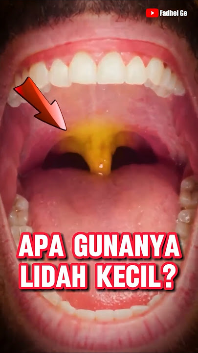 APA GUNANYA LIDAH KECIL?