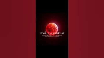 فإذا برق البصر وخسف القمر #قناة_القرآن_الكريم #قران_كريم #قرآن #تلاوة_خاشعة#راحة_نفسية