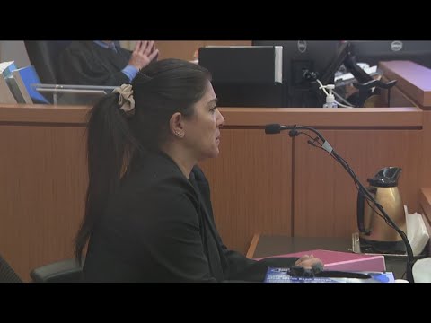 Double homicide trial | Mother of the accused takes the stand ...