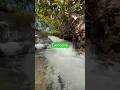 #paisagemnatural #nature #agua #cachoeira #tranquilidade #fyp #fypシ #viral #viraliza #fypyoutube 🏞️
