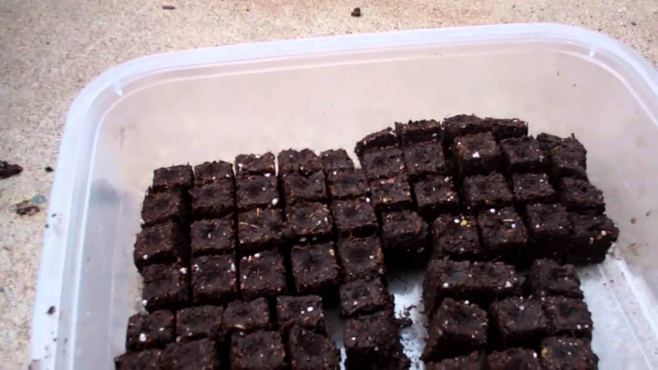 tobacco soil mix Growing Guide  HOSS Will potting mix work for