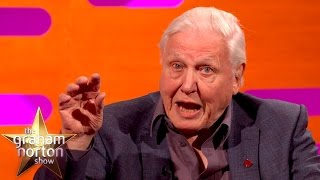 Sir David Attenborough Was Charged By A Rhino  The Graham Norton Show