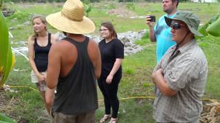 Rawbert The Banana Farmer | Banana Sanctuary | Robert Fulop | Tour & Potluck | Naples, FL |  3/12/16