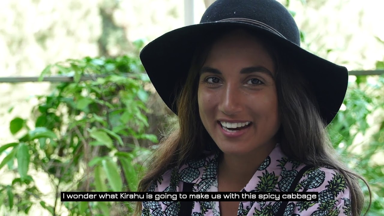 Island cabbage - Edible leaves of the Pacific - YouTube