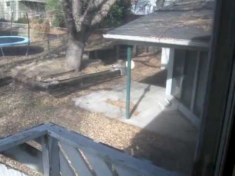2930 s 116th Ave, Omaha, NE home video tour