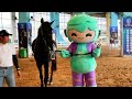 Asian Games mascots embracing the joy and charm of equestrianism