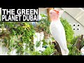 THE GREEN PLANET DUBAI Complete Tour | 4K | Dubai Tourist Attraction